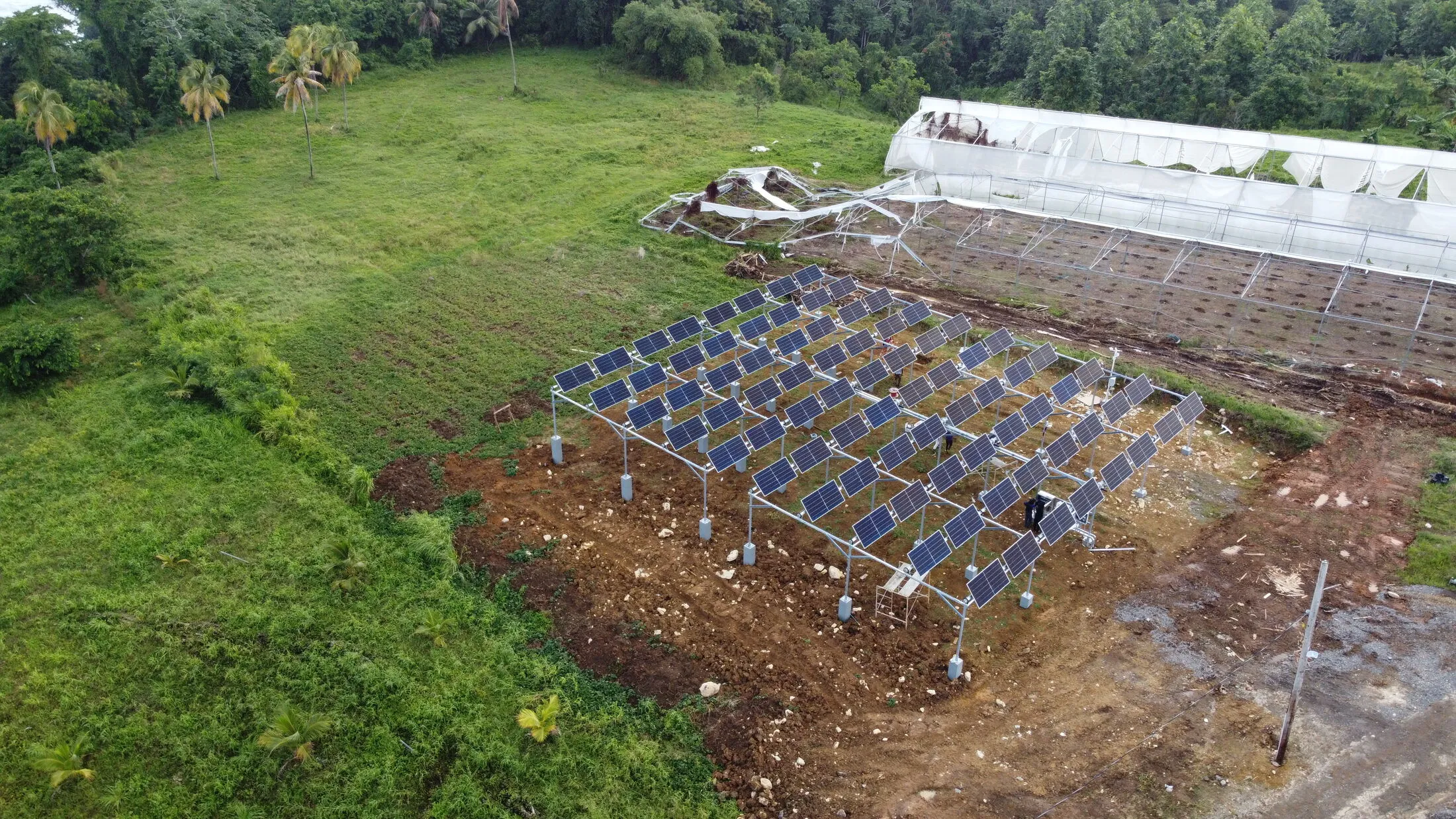 CASE 캠퍼스 농장의 50kWp 동적 영농형태양광 (2025)